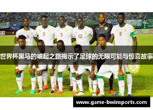 世界杯黑马的崛起之路揭示了足球的无限可能与惊喜故事