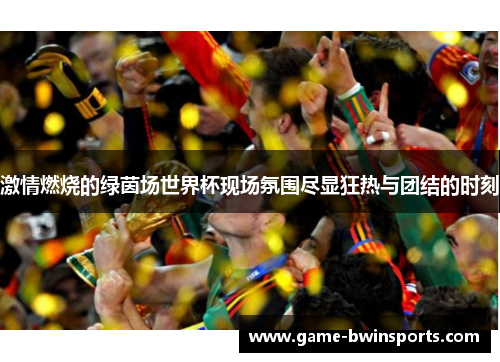 激情燃烧的绿茵场世界杯现场氛围尽显狂热与团结的时刻