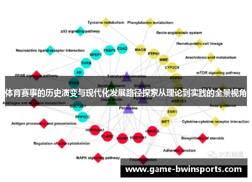 体育赛事的历史演变与现代化发展路径探索从理论到实践的全景视角