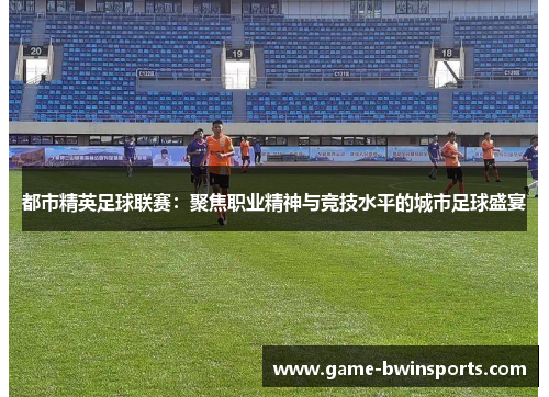 都市精英足球联赛：聚焦职业精神与竞技水平的城市足球盛宴